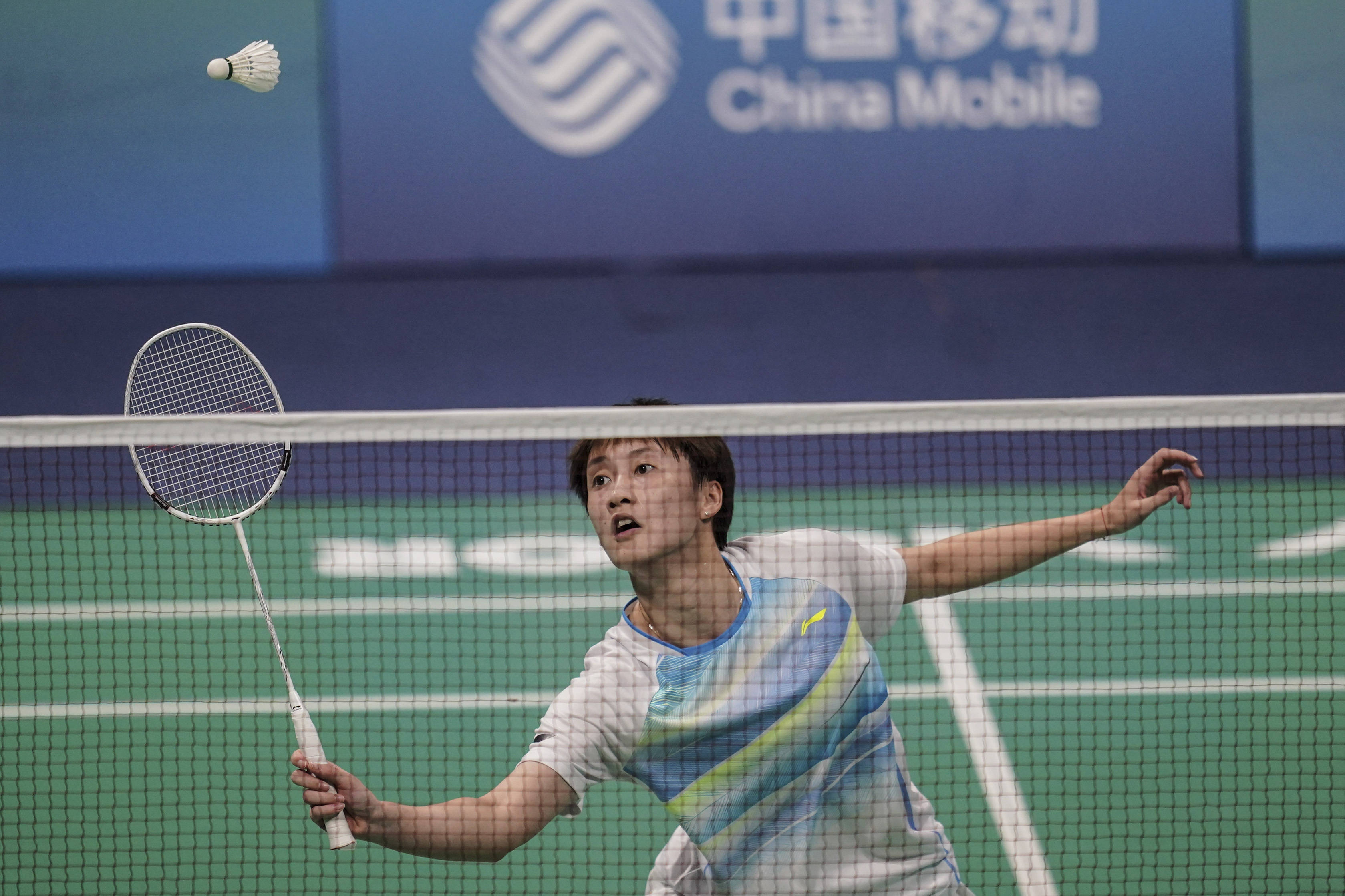 都会被森林 都会被森林